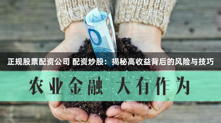正规股票配资公司 配资炒股：揭秘高收益背后的风险与技巧